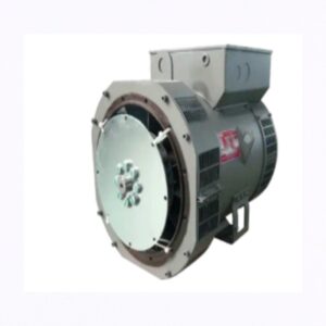 Leroy Somer LSAP 44.3D