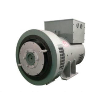 Leroy Somer LSAP 45L1